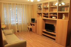 Apartment na Sudostroitelnaya 1